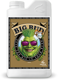 Big Bud® Coco