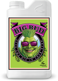 Big Bud®