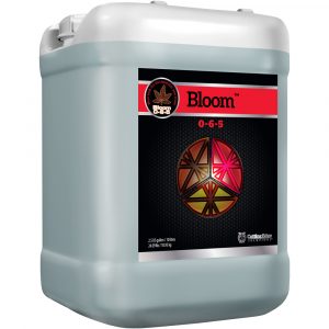 Cutting Edge Solutions Bloom, 2.5 gal