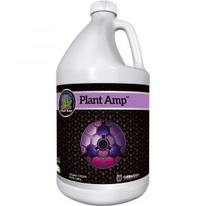 Cutting Edge Solutions Plant Amp, 1 gal