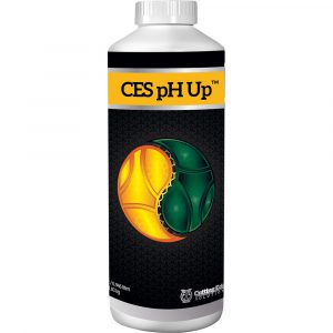 Cutting Edge Solutions pH Up, 1 qt, case of 12