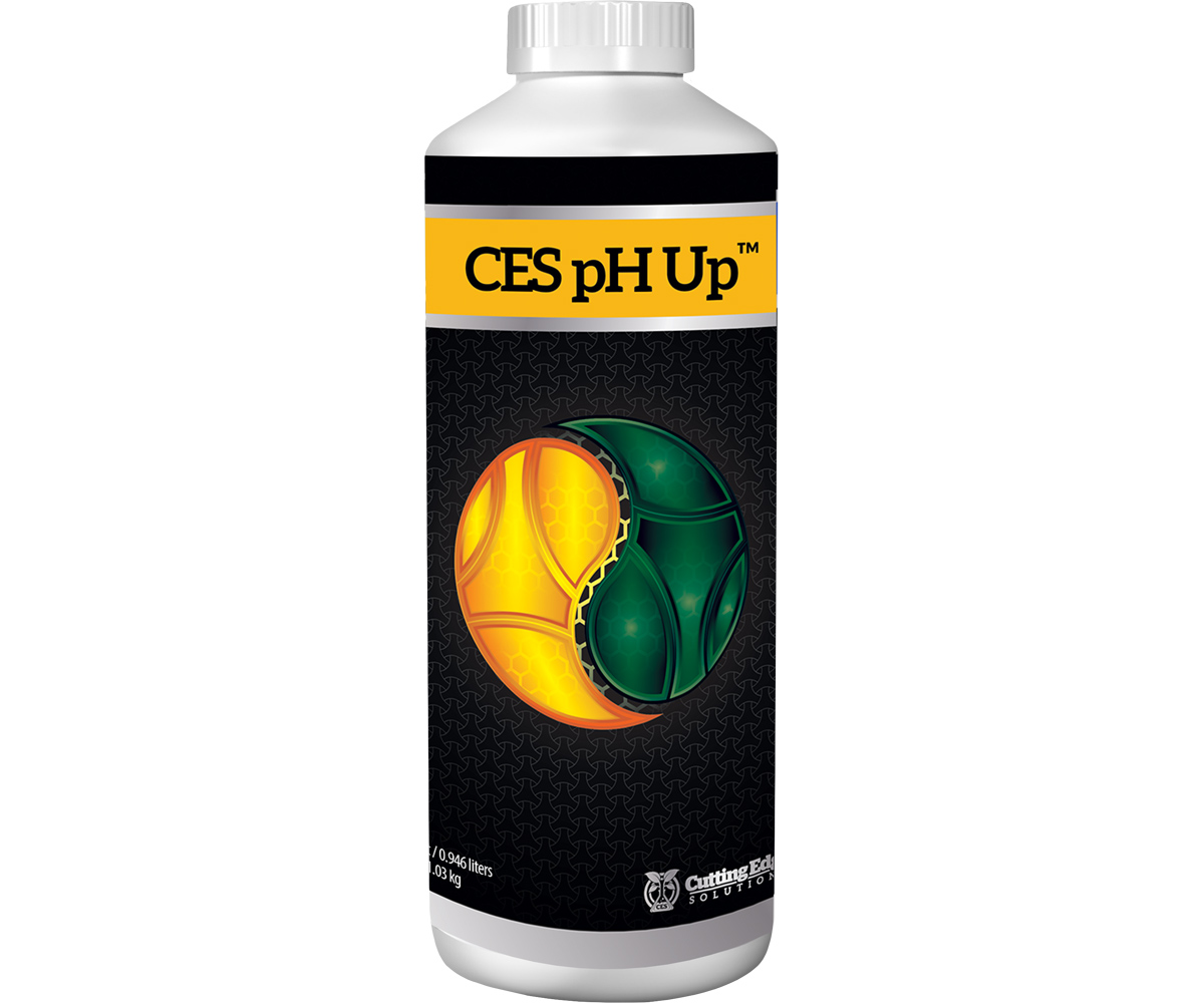 CES3701 1.jpg
