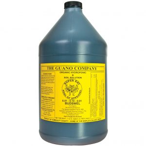 Budswel, 1 gal
