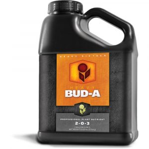 HEAVY 16 Bud A, 1 gal