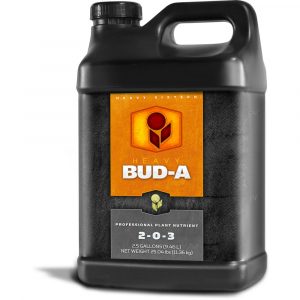 HEAVY 16 Bud A, 2.5 gal