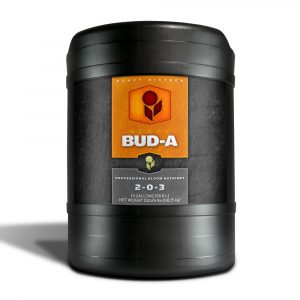 HEAVY 16 Bud A, 15 gal