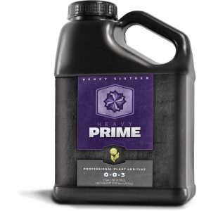 HEAVY 16 Prime, 1 gal