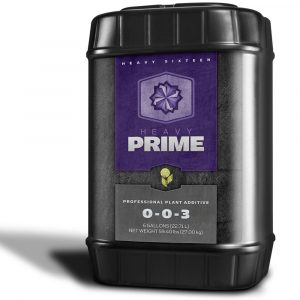 HEAVY 16 Prime, 6 gal