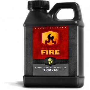 HEAVY 16 Fire, 16 oz