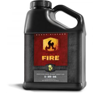 HEAVY 16 Fire, 1 gal (OR Only)
