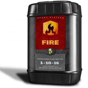 HEAVY 16 Fire, 6 gal