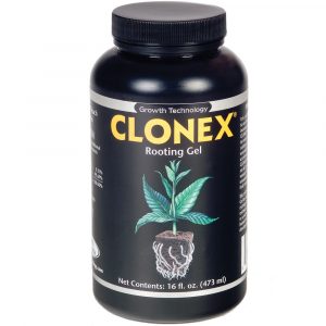 Clonex Rooting Gel, 1 pt