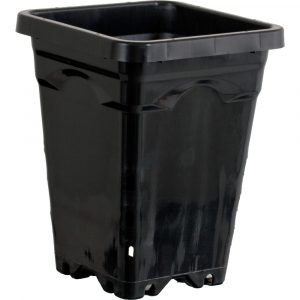 Active Aqua 5" x 5" Square Black Pot, 7" Tall, case of 100