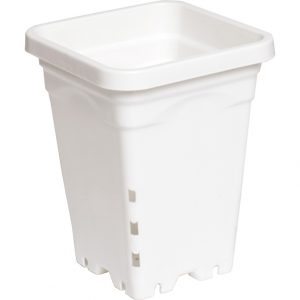 Active Aqua 5" x 5" Square White Pot, 7" Tall, case of 100