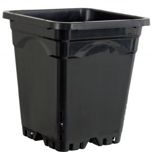 Active Aqua 9" x 9" Square Black Pot, 10" Tall, case of 24