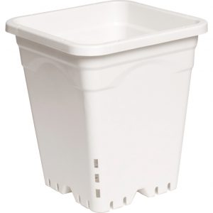 Active Aqua 9" x 9" Square White Pot, 10" Tall, case of 24