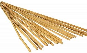GROW!T 4' Bamboo Stakes, Natural, pack of 25