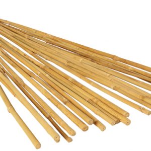 GROW!T 6' Bamboo Stakes, Natural, pack of 25
