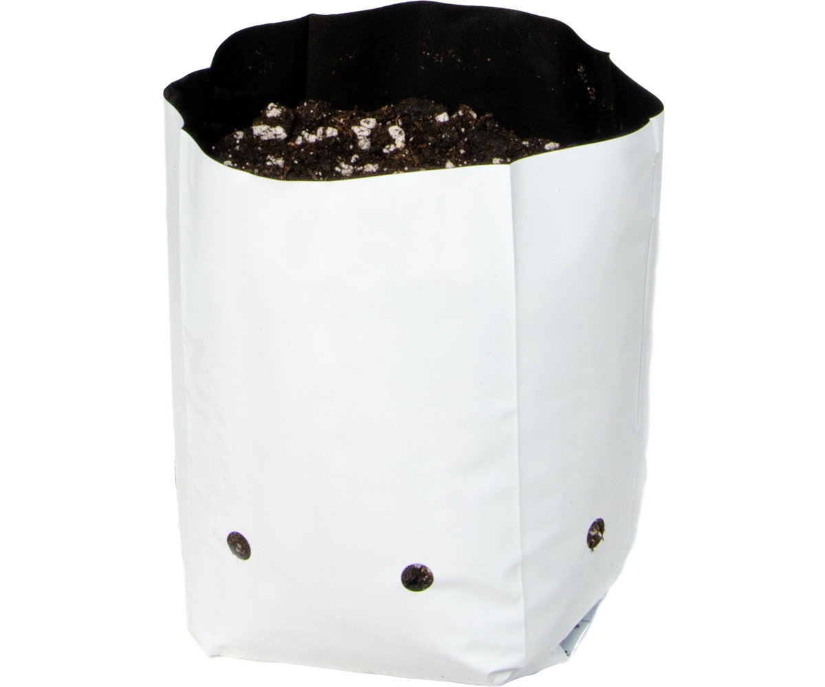HGBW0.5GAL 1.jpg