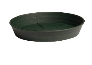 Premium Green Saucer, 10", pack of 25