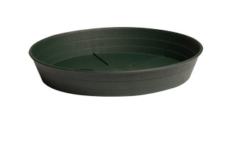 HGS10P_1.jpg Premium Green Saucer, 10", pack of 25