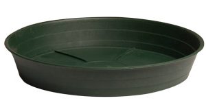 Premium Green Saucer, 12", pack of 10