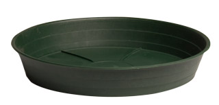 HGS12P_1.jpg Premium Green Saucer, 12", pack of 10