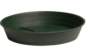 Premium Green Saucer 16", pack of 10