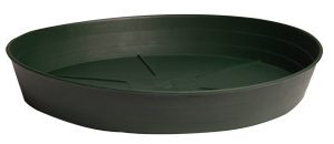 Premium Green Saucer, 6", pack of 25