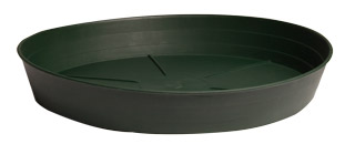 HGS6P_1.jpg Premium Green Saucer, 6", pack of 25