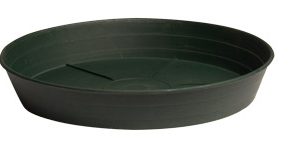 Premium Green Saucer, 8", pack of 25