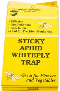 Seabright Laboratories Aphid/Whitefly Traps, 5 pack
