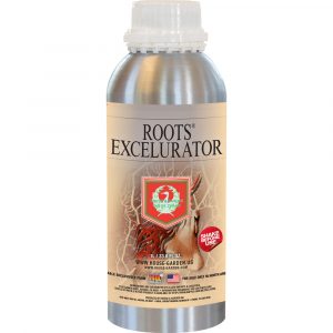 HGSRXL01L_1.jpg House & Garden Roots Excelurator, (silver bottle), 1 L