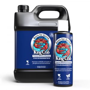 Plant Success King Crab, 1 gal