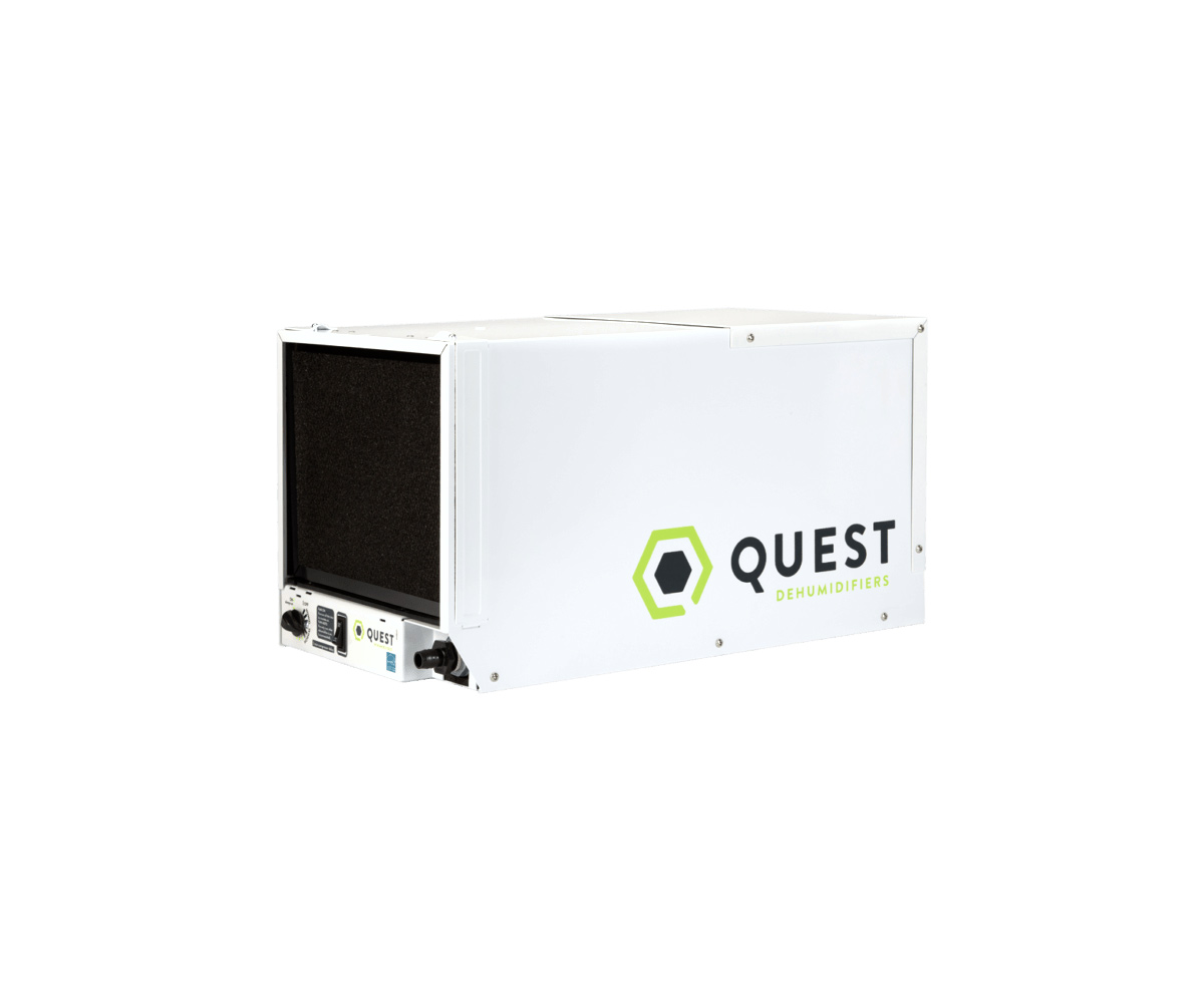 QST4033750 1.jpg