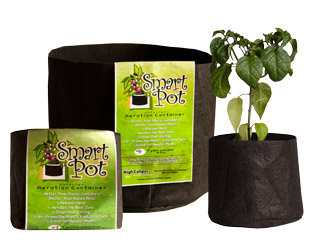 RC20_1.jpg Smart Pot, 20 gal, 20" x 15.5"