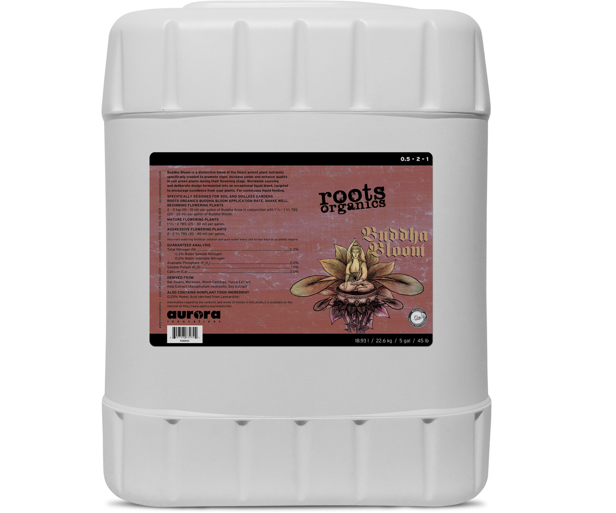 ROBB5G 1.jpg