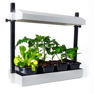 SunBlaster Micro T5 Grow Light Garden, White