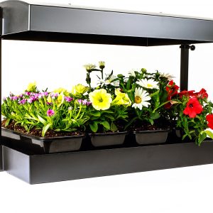 SunBlaster T5 Grow Light Garden, Black