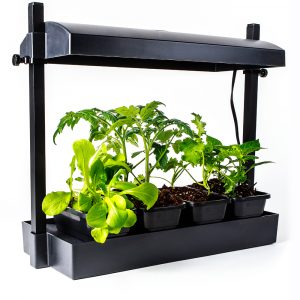 SunBlaster Micro LED Grow Light Garden, Black