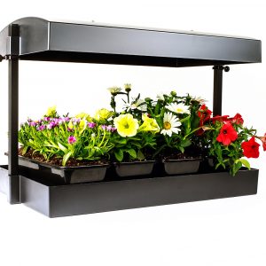 SunBlaster LED Grow Light Garden, Black